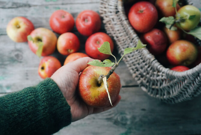 裁剪图像的手拿着苹果