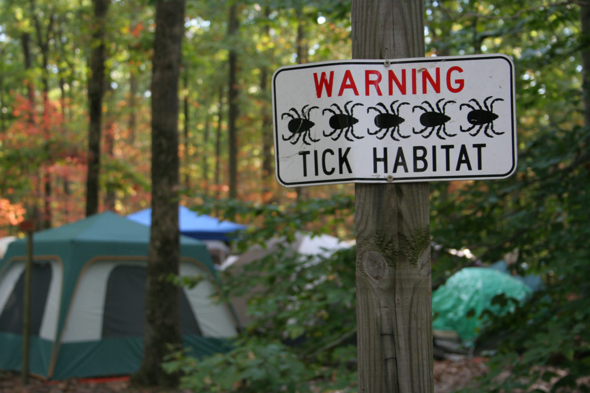 一个警告营地蜱虫栖息地的标志，以露营帐篷为背景，在阳光的照耀下，彩色的森林。