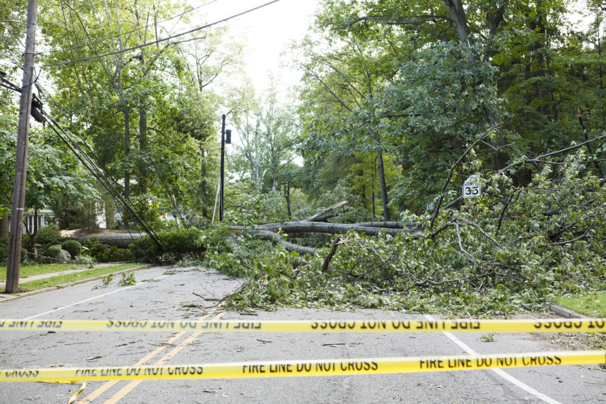 一棵倒在马路对面的树被飓风艾琳撞倒了。那棵大树拉倒了电线，堵塞了道路。可以看到一个弯曲的限速标志。也有
