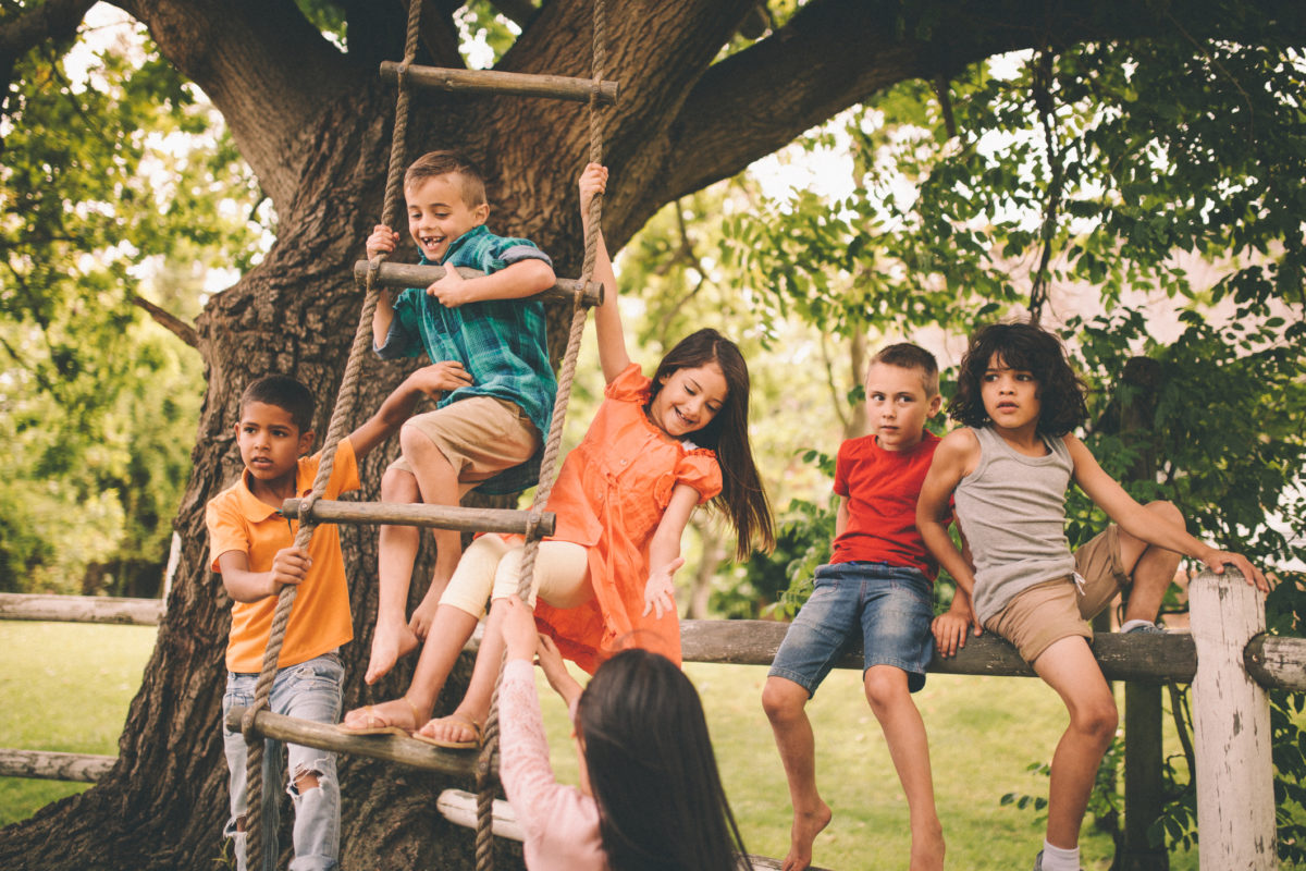 一群来自不同种族的孩子在公园里玩着乡村木栅栏和夏天从大树上垂下来的绳梯。