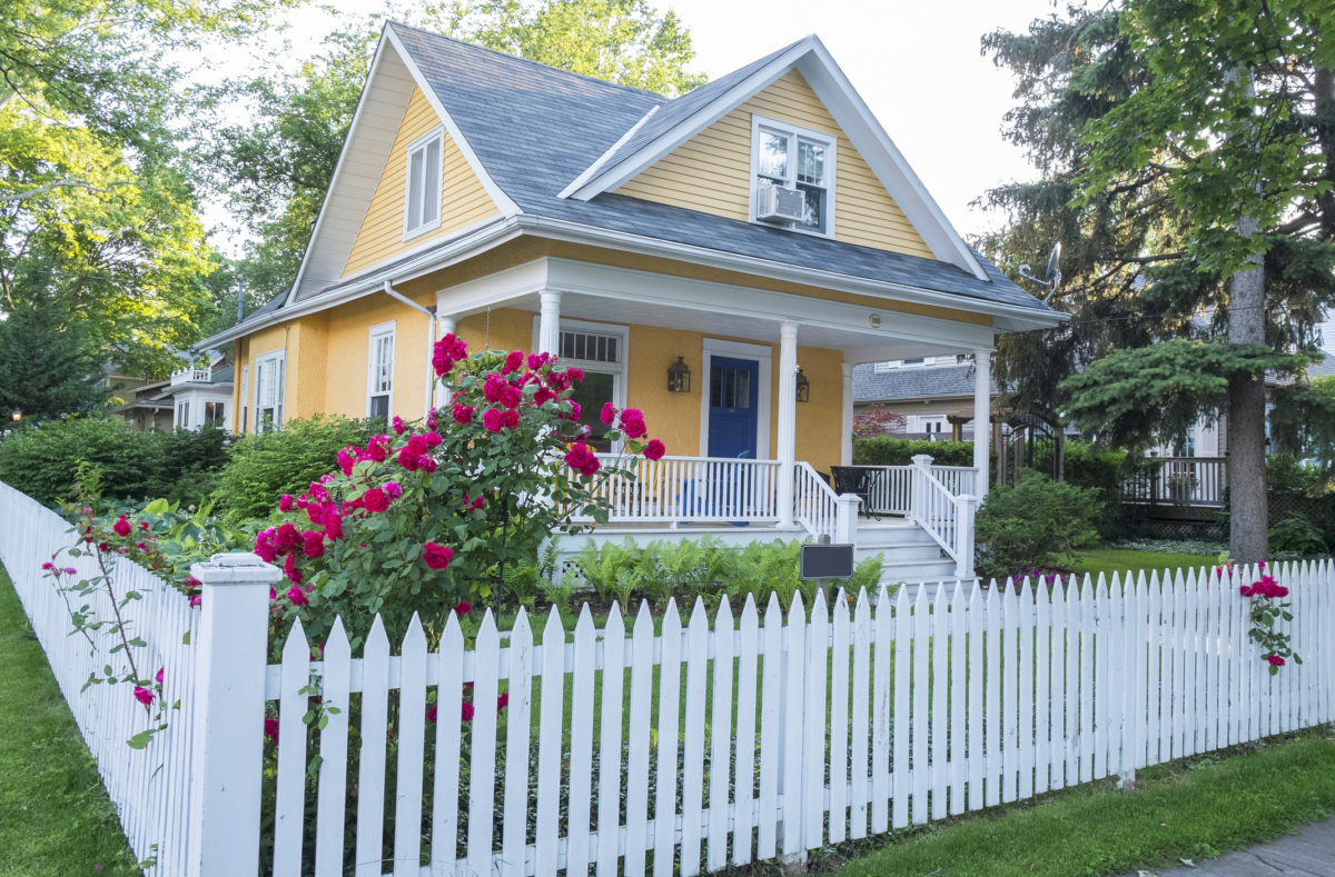 粉红色的玫瑰丛在一幢漂亮的黄色房子前面，白色的尖桩篱笆。