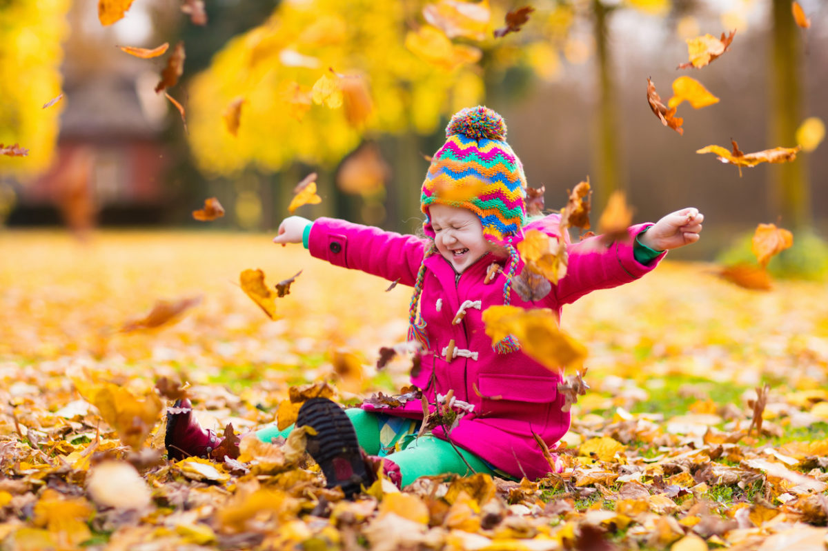 小女孩在秋天公园玩金枫叶