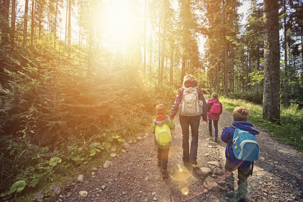 母亲和孩子们在阳光充足的森林里徒步旅行