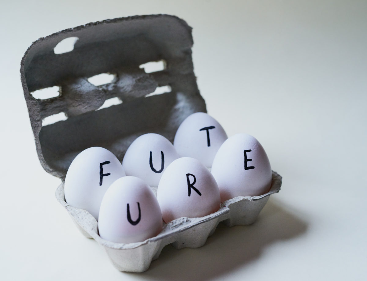 未来鸡蛋